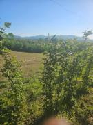 Top Loznica