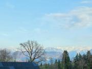 Top Luzern
