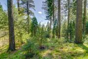 Top Nevada City