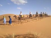 Palmera desert luxury camp