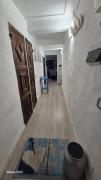 Top Ameglia