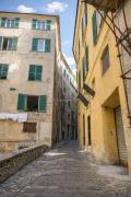 Top Genoa