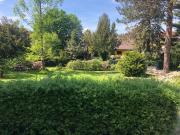 Top Altenburg