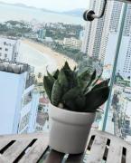 Top Nha Trang