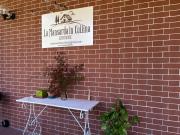 Top Castiglione Torinese