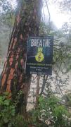 Top Kasol