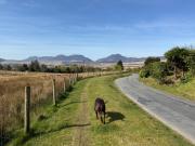Top Trawsfynydd