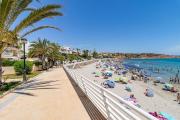 Sunny Haven Caboroig