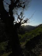 Top Shilha Village