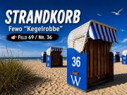ToNi`s Kegelrobbe