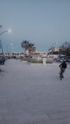 Top Bisceglie