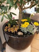 Top Tavira