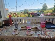 Top Sjenica