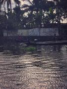 Top Alleppey