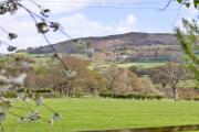 Top St Asaph