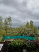 Top Srinagar