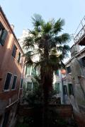 Top Venice