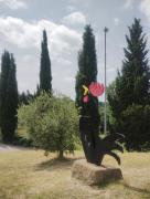 Top San Donato in Poggio