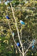 Top Los Altos de Cerro Azul