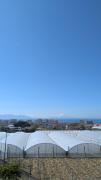Top Torre del Greco