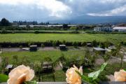 Top Giarre