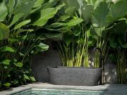 Top Ubud