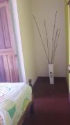Top Bocas del Toro