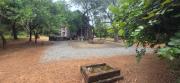 Top Marloth Park