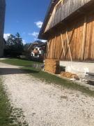 Ferienwohnung Lamprechtsburg