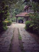 mulberry homestay wayanad