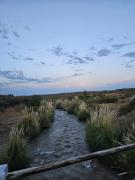 Top San Carlos