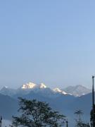 Top Pelling