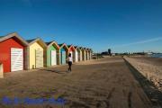 Top Blyth