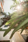 Top Punta Mita