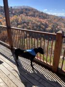 Top Sevierville
