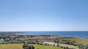 Top Favignana