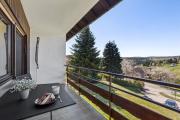 Top Lenzkirch