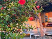 Top Porto Alabe
