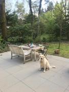 Natuurhuisje Even Niets