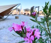 Top Mamaia Nord