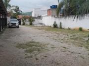 Top Roseira