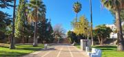 Top Altea