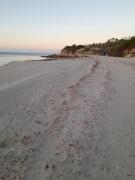 Top Baudin Beach