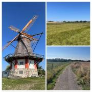 Top Bogø By