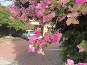Top Rosewater