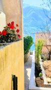 Cozy Apartment near Kotor 20m from the sea