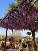 Top Trevignano Romano