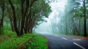 Top Trivandrum