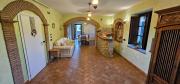 Top Todi