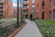 Top Gdańsk